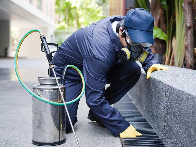 Commercial Pest Control