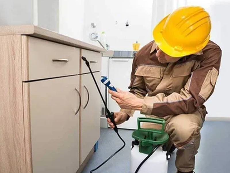 Commercial Pest Control