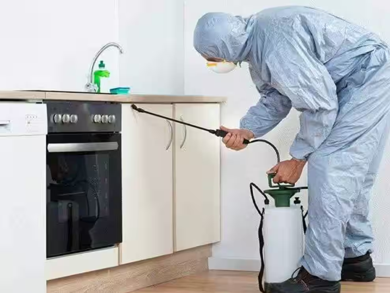 Commercial Pest Control