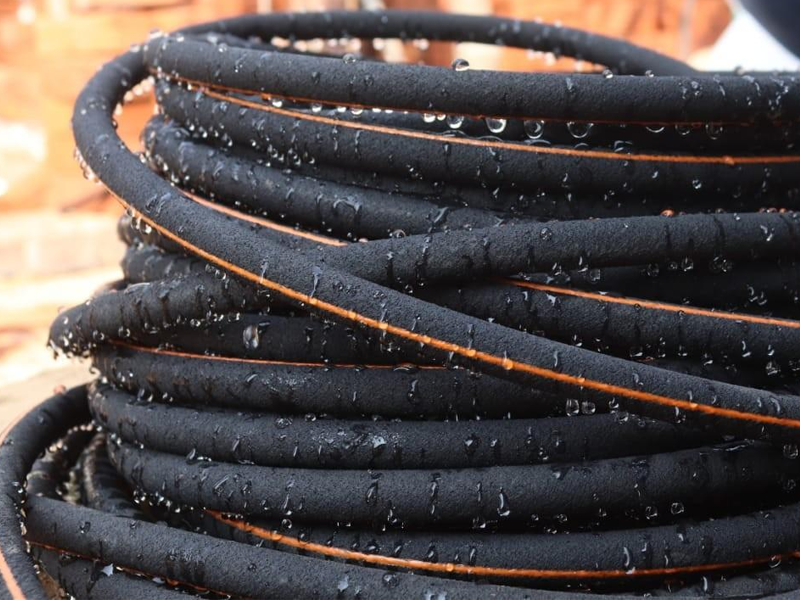 Commercial Pest Control